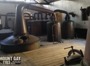 Destilería Mount Gay Rum: más de tres siglos de tradición enmarcados por la pasión y la excelencia