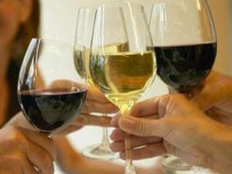 Nuevos retos en el sector de elaboración y venta especializada de vinos en España