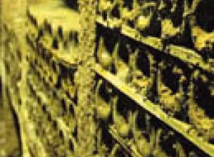 La "larga vida" de un vino