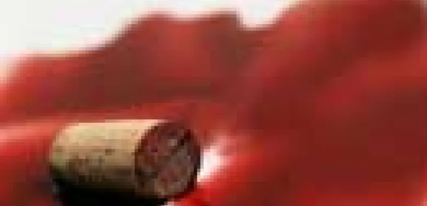El consumo moderado de vino podría reducir el riesgo de cáncer El consumo moderado de vino podría reducir el riesgo de cáncer