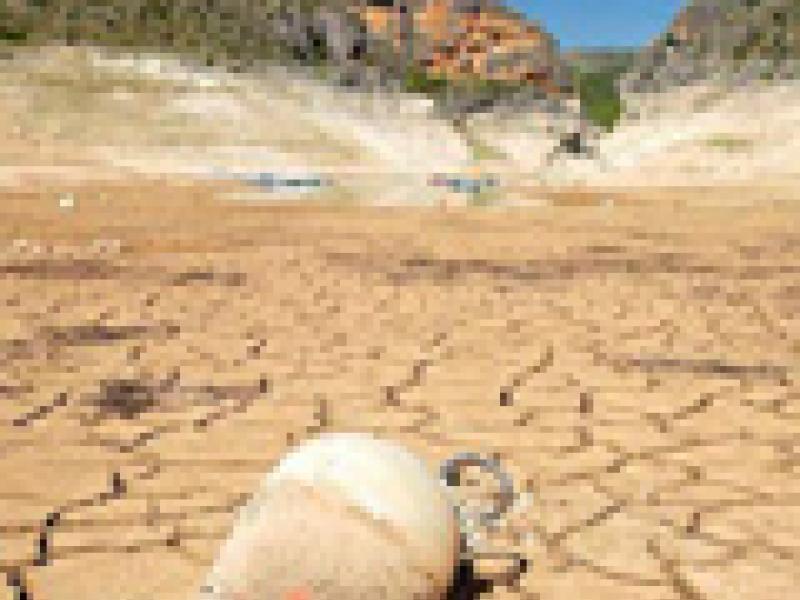 El mundo pudiera quedarse sin comida por la escasez de agua