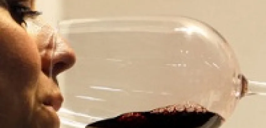 ¿Es posible distinguir entre un vino barato y uno caro? ¿Es posible distinguir entre un vino barato y uno caro?