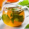 El té de ortiga actúa como antihistamínico natural