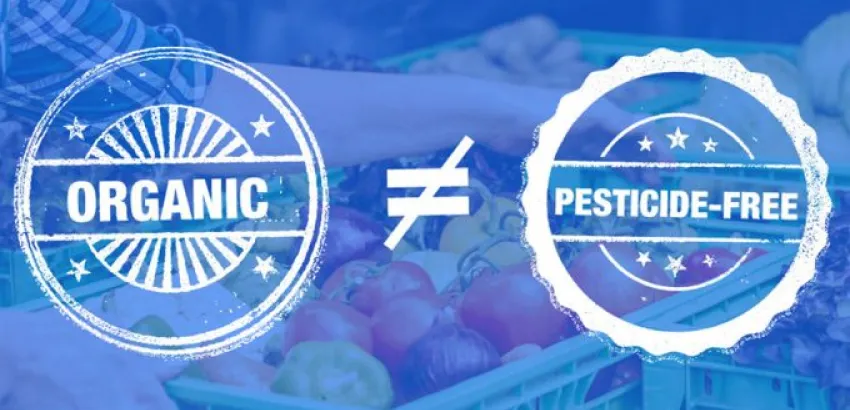 Confusión a nivel mundial sobre la información de las etiquetas alimentarias Confusión a nivel mundial sobre la información de las etiquetas alimentarias