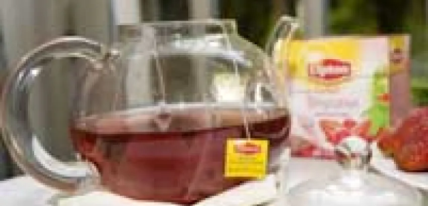 Diez dudas sobre el té Diez dudas sobre el té