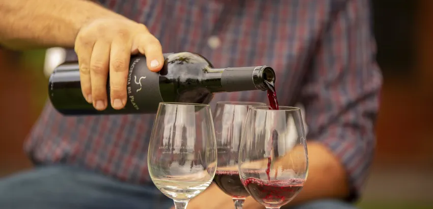 vinos argentinos