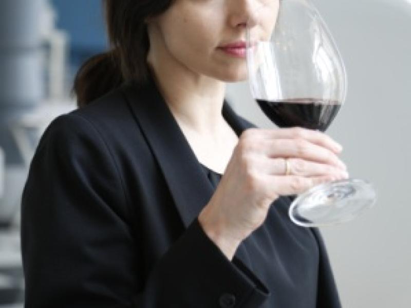 Vinos biodinámicos, el resultado del respeto