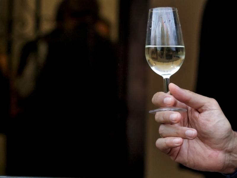 vinos de sevilla 2025
