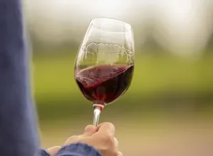 Mendoza-Vino-Argentina