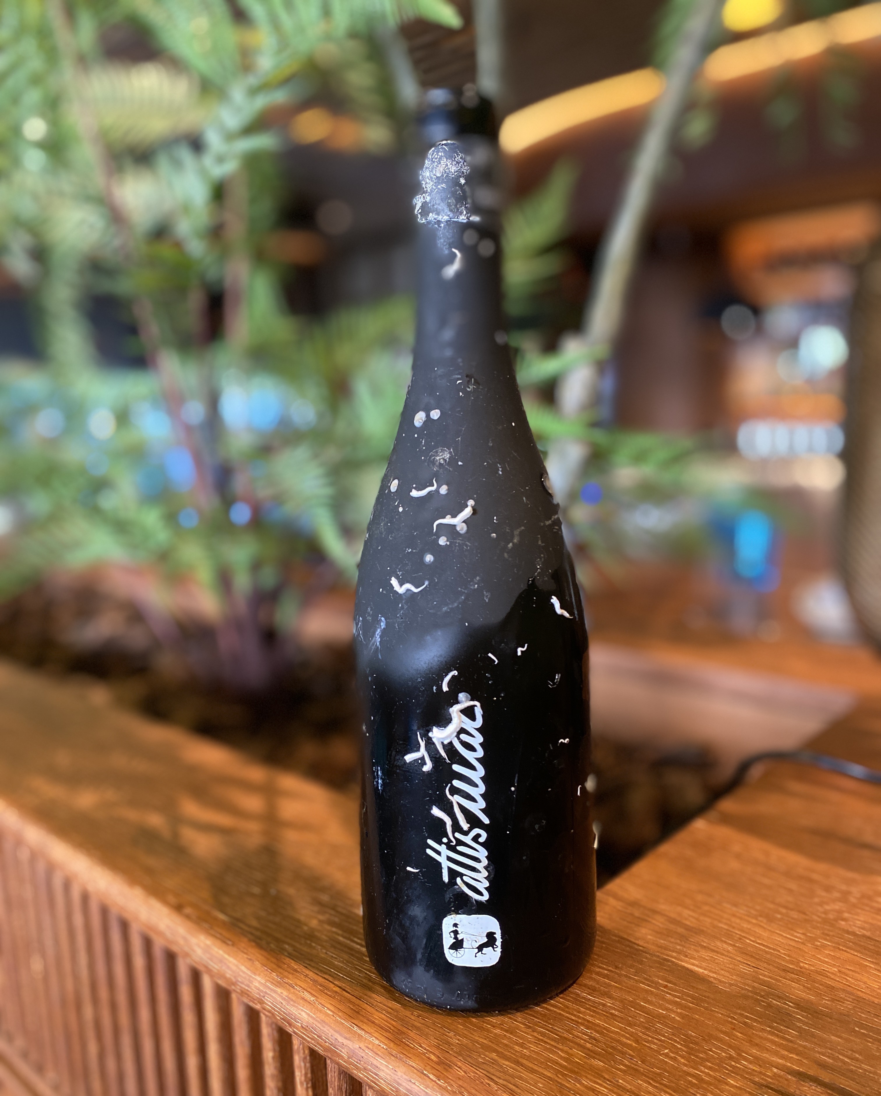 vino