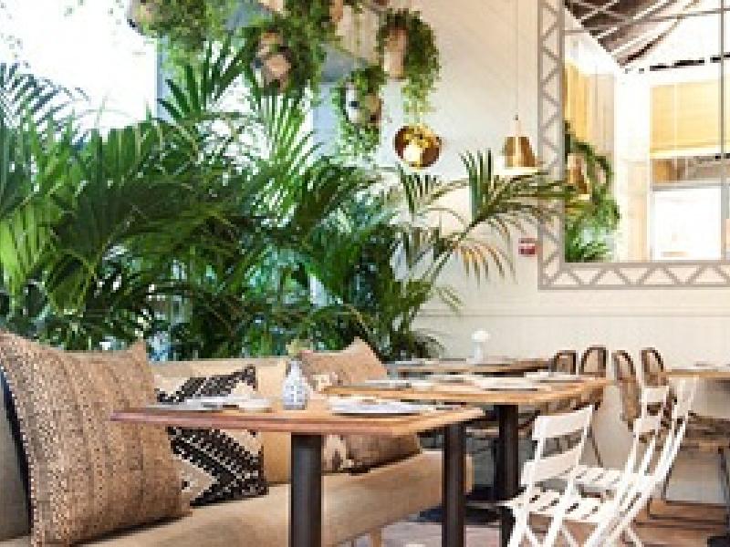 Sushita, referente en España en cocina Oriental, prevé crecer un 39 por ciento en 2016