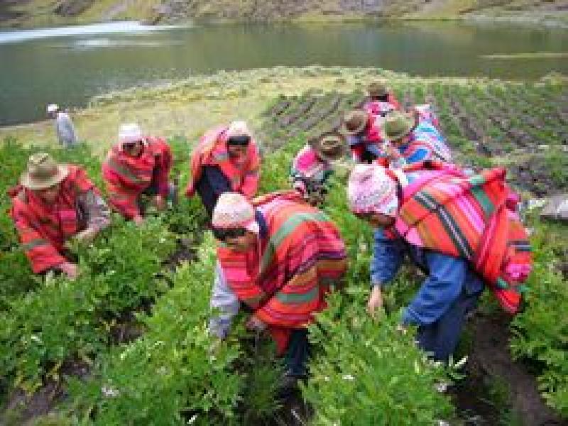 Seminario sobre Gastronomía y Desarrollo Local en México