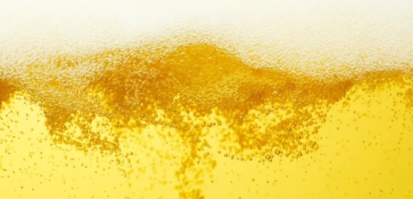 cerveza cerveza