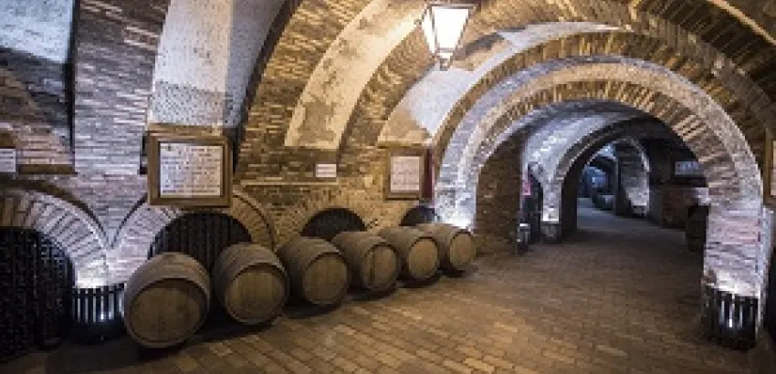 La Ruta del Vino de Rueda colabora en la Fiesta de la Moto ‘Valladolid 2016’ 