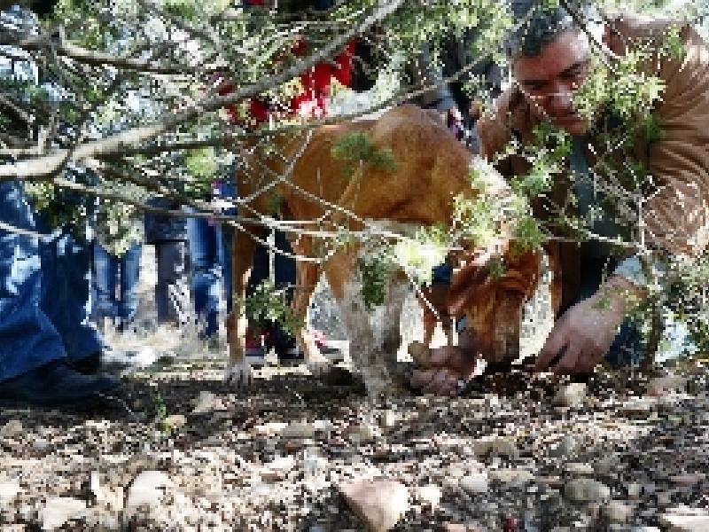 Un gran encuentro amparado por Viñas del Vero
