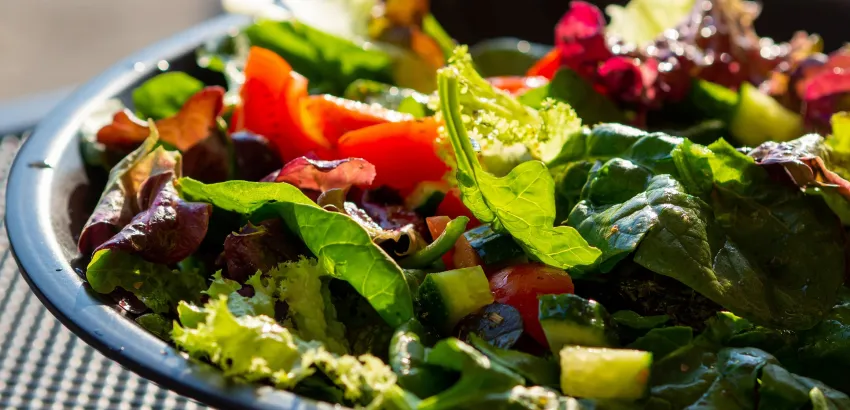 gastronomía -verano-ensalada