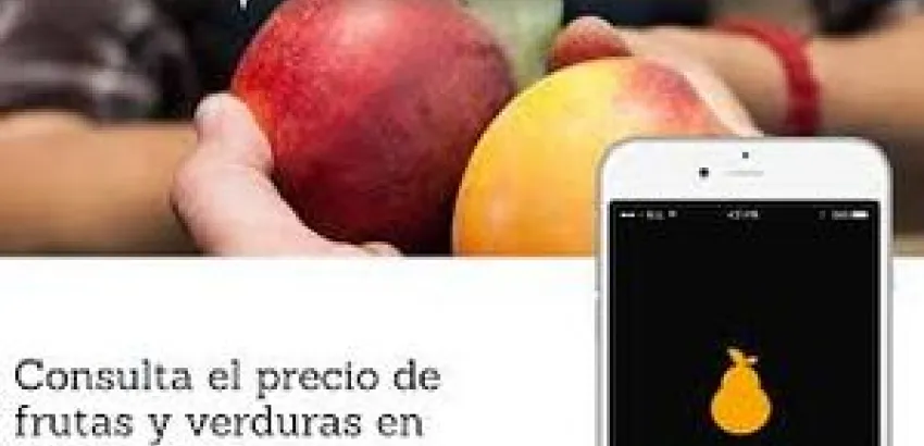 Fruitbull renueva su plataforma digital y la lanza al mercado internacional, única para analizar el sector de frutas y verduras Fruitbull renueva su plataforma digital y la lanza al mercado internacional, única para analizar el sector de frutas y verduras