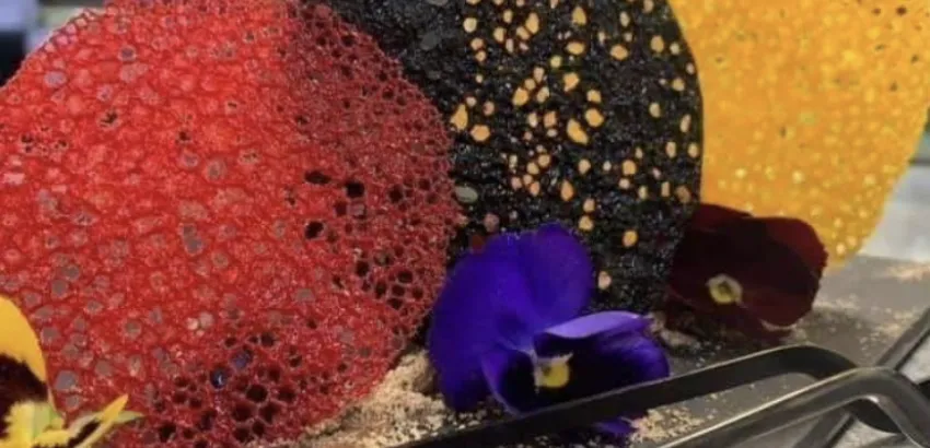 Falso Coral o Tuiles Coral Falso Coral o Tuiles Coral