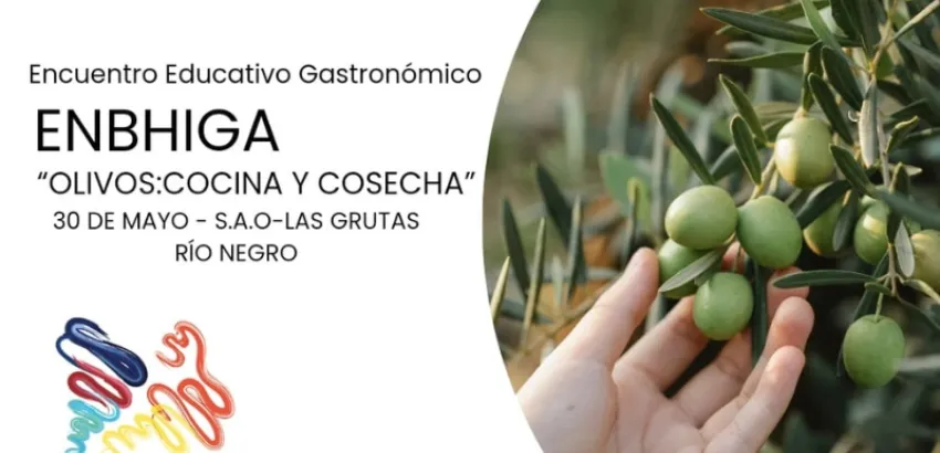 Olivos: cocina y cosecha convocatoria Olivos: cocina y cosecha