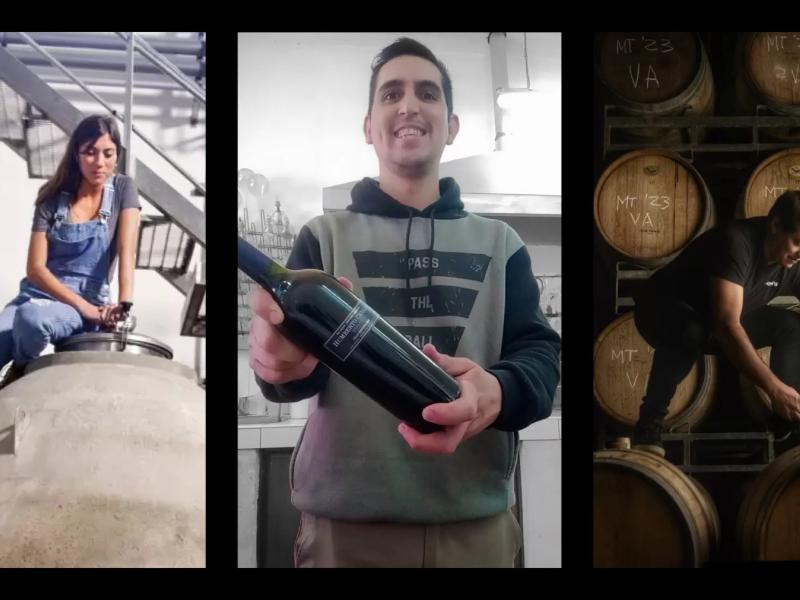 Vinos argentinos