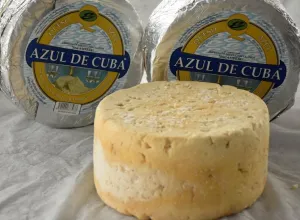 Productos lacteos