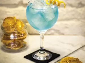 Gin Gin 
