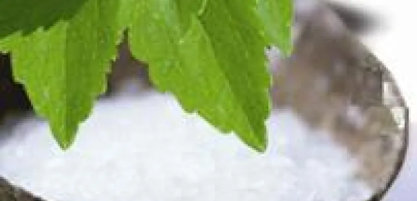 ¿Qué es la stevia? ¿Qué es la stevia?