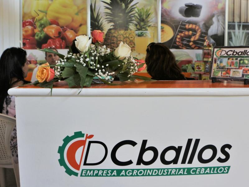 Ceballos