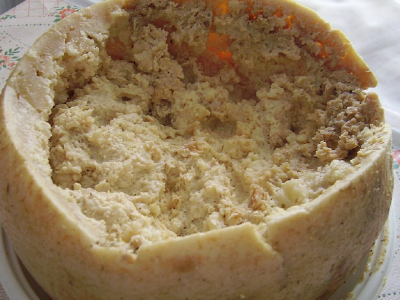 casu-marzu