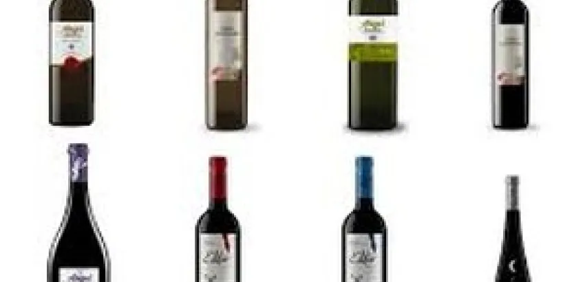 Ángel Santamaría, editor y P. Numbra, la familia de vinos de Bodegas Pagos de Leza Ángel Santamaría, editor y P. Numbra, la familia de vinos de Bodegas Pagos de Leza