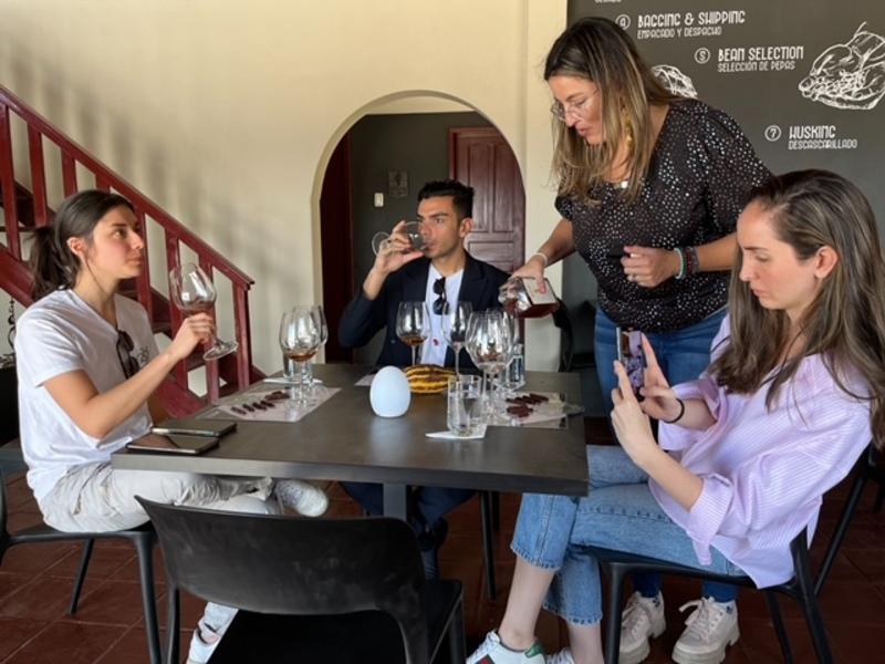 Sommelier de chocolate