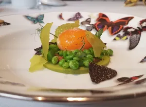 Coque-restaurante-plato