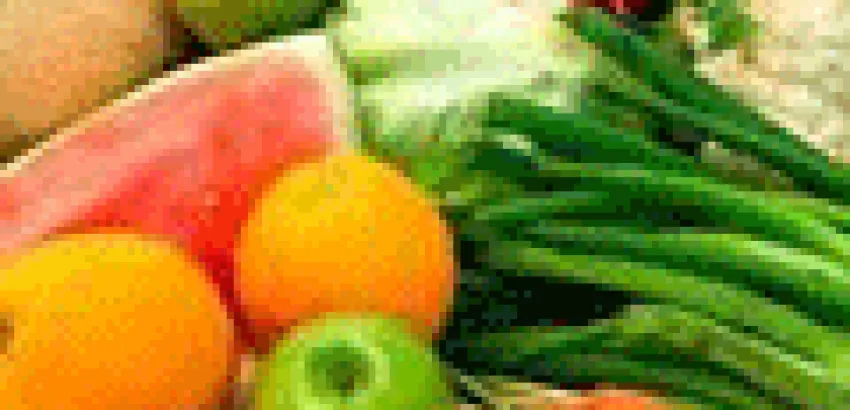 Dietas con alimentos crudos