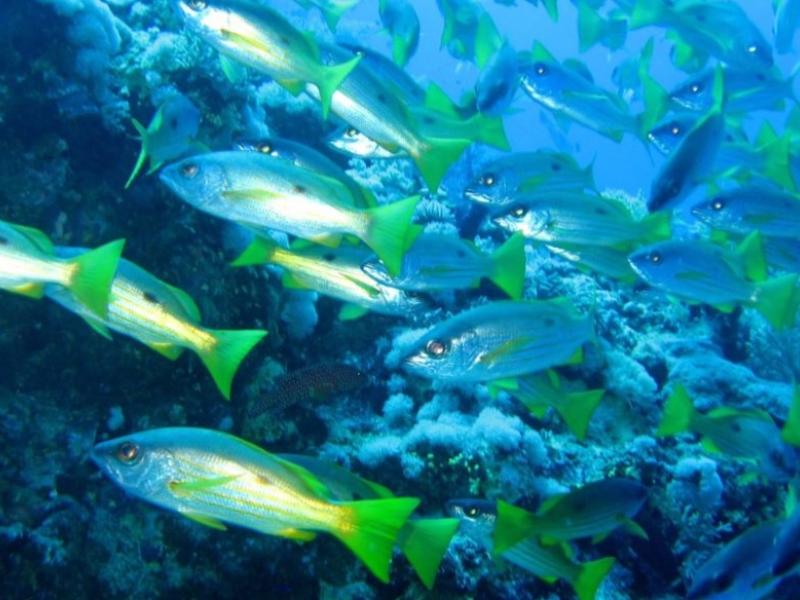 Encuentro de los Mares