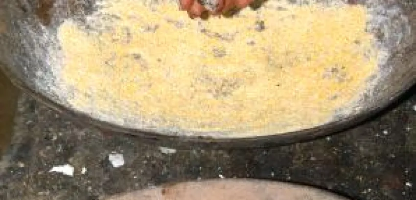 La cadena de valor del cacao y el chocolate