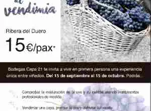 IV Edición del “Taller de Vendimia” de Bodegas Cepa 21