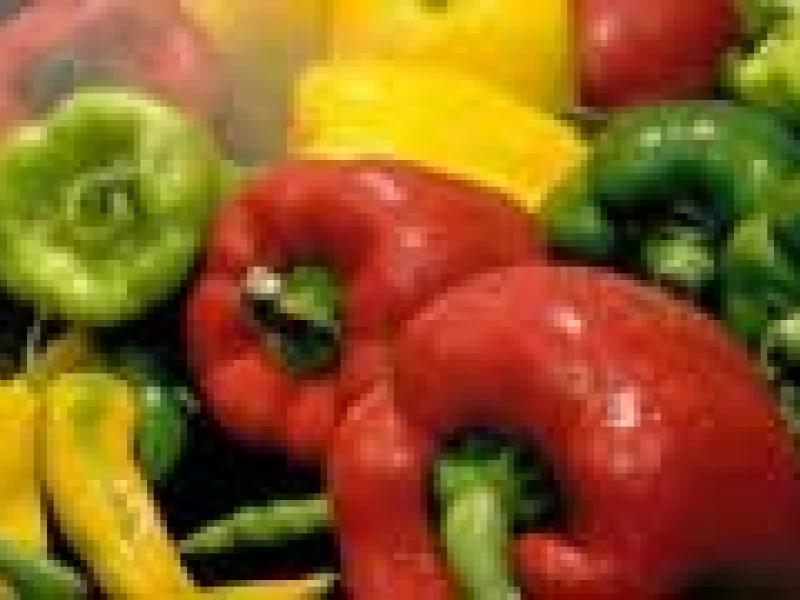 España es el quinto productor mundial de pimiento y el tercer exportador mundial