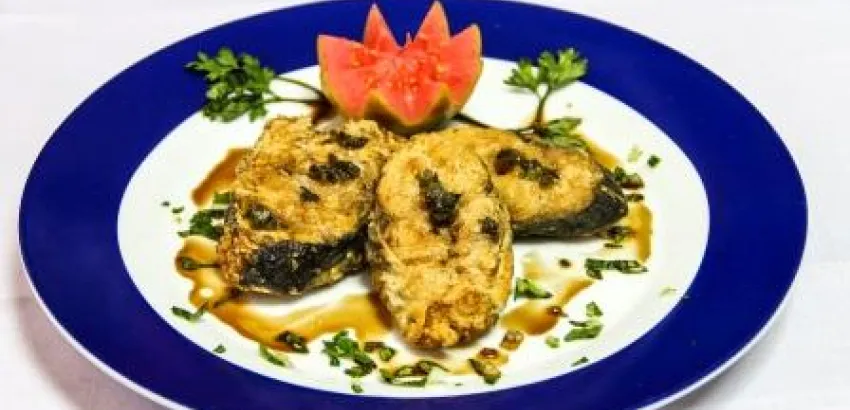 Recetas de la cocina regional santiaguera: Rueda de Sierra y Salsa de Hierva
