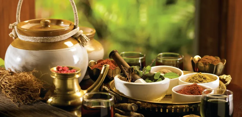 Ayurveda-nutricion
