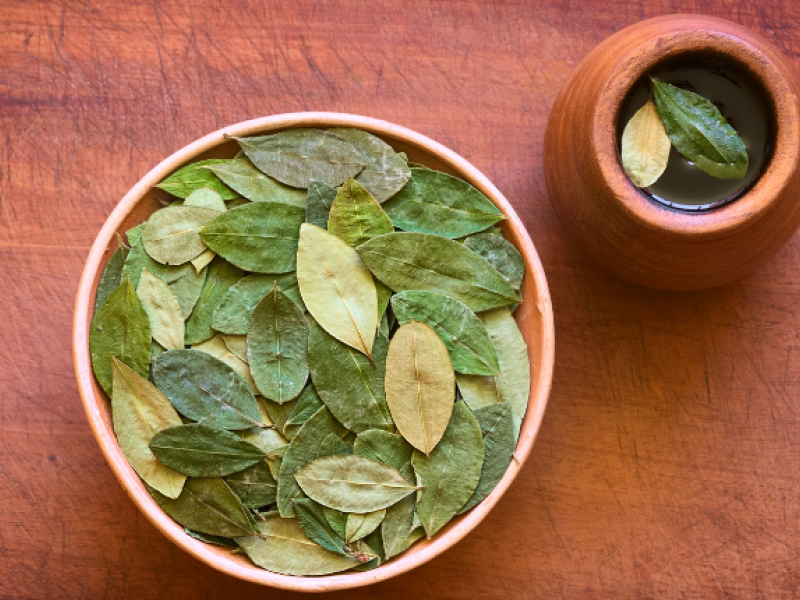 Mate de coca, infusiones para el mal de altura