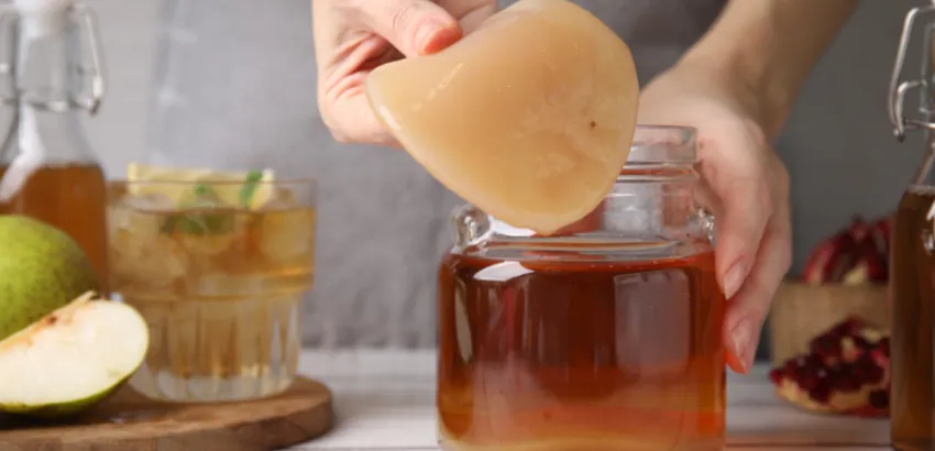 El SCOBY es el ingrediente principal de la kombucha casera elaborar kombucha