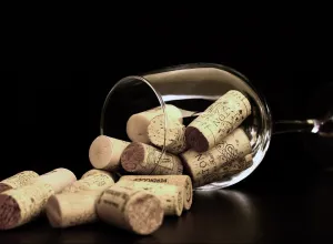 vino 