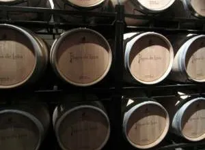 Bodegas Pagos de Leza: enoturismo en Estado Puro