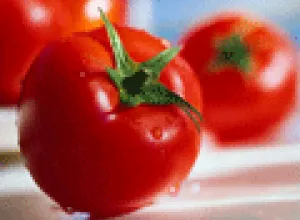 Químicos en los alimentos pueden causar obesidad