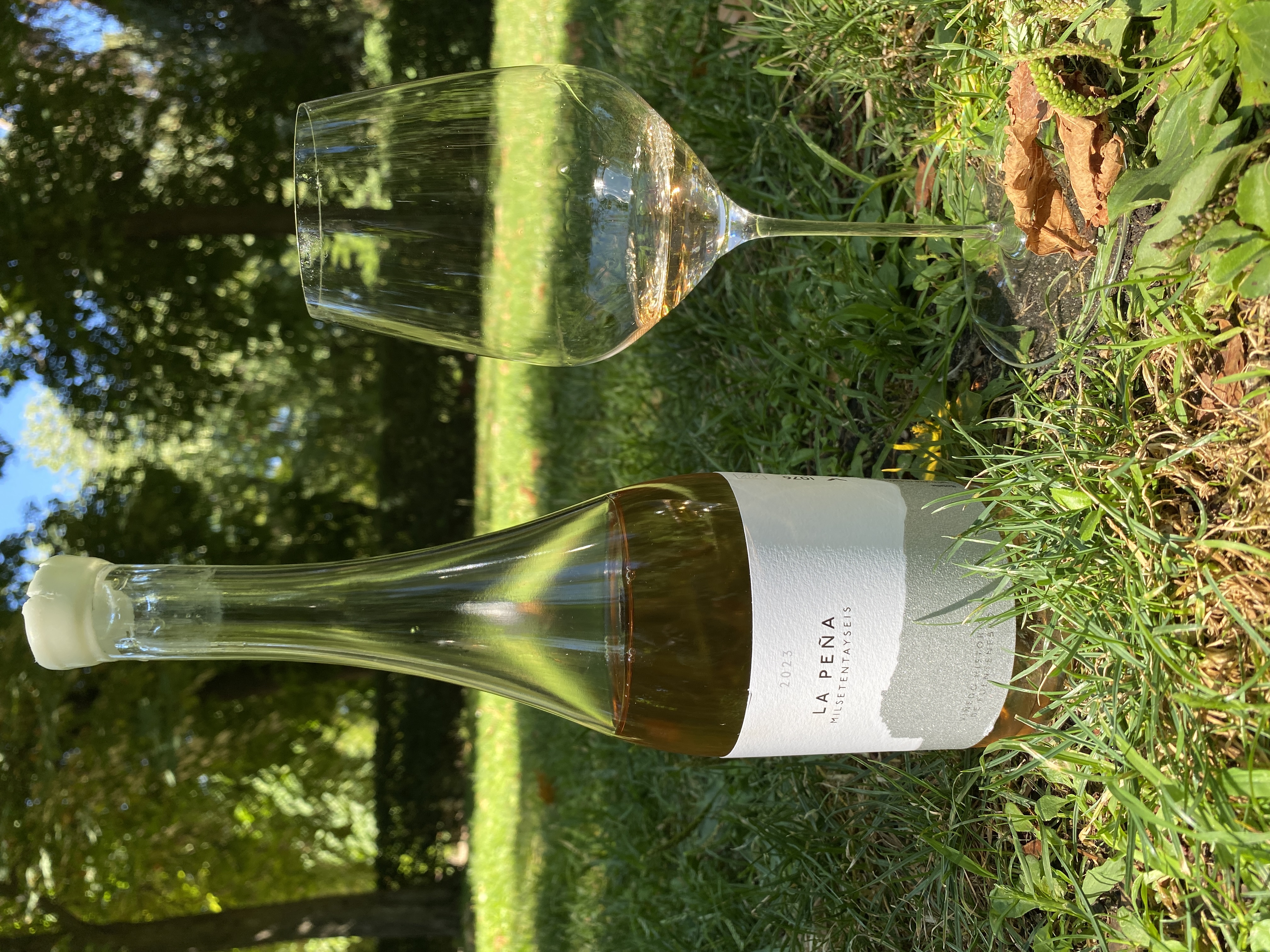 vino
