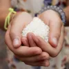significado cultural de los alimentos
