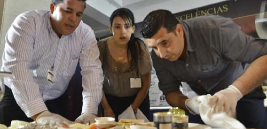 Regresa al Seminario el concurso 15x15 Regresa al Seminario el concurso 15x15