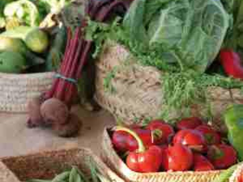 Descubre la gastronomía ibicenca
