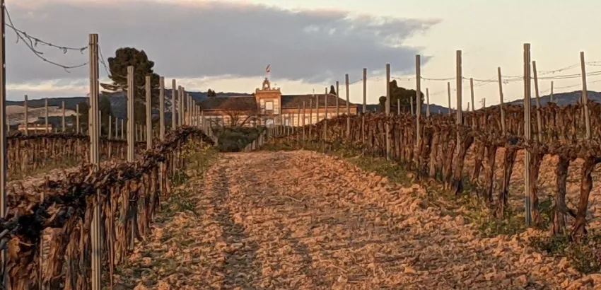 Bodegas La inglesa Bodegas La inglesa