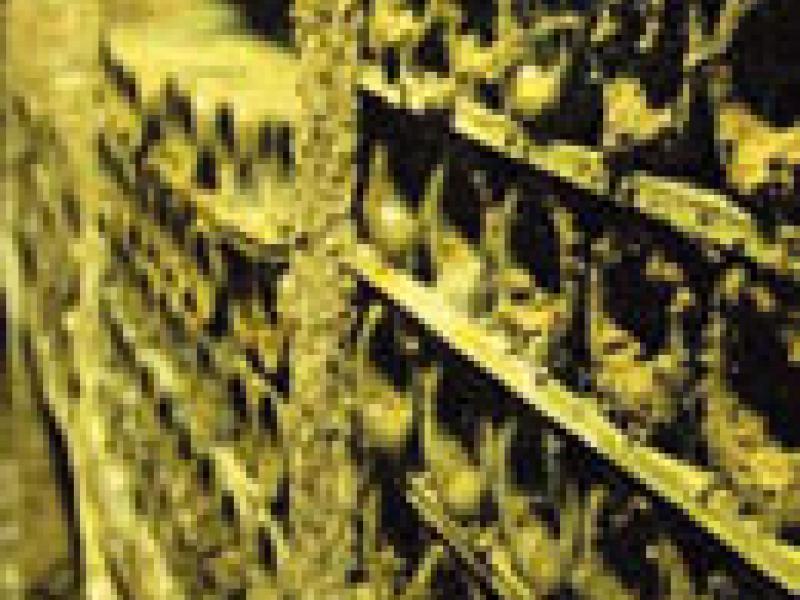 La "larga vida" de un vino